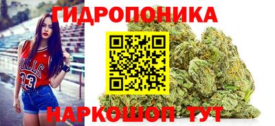 стаф Донецк