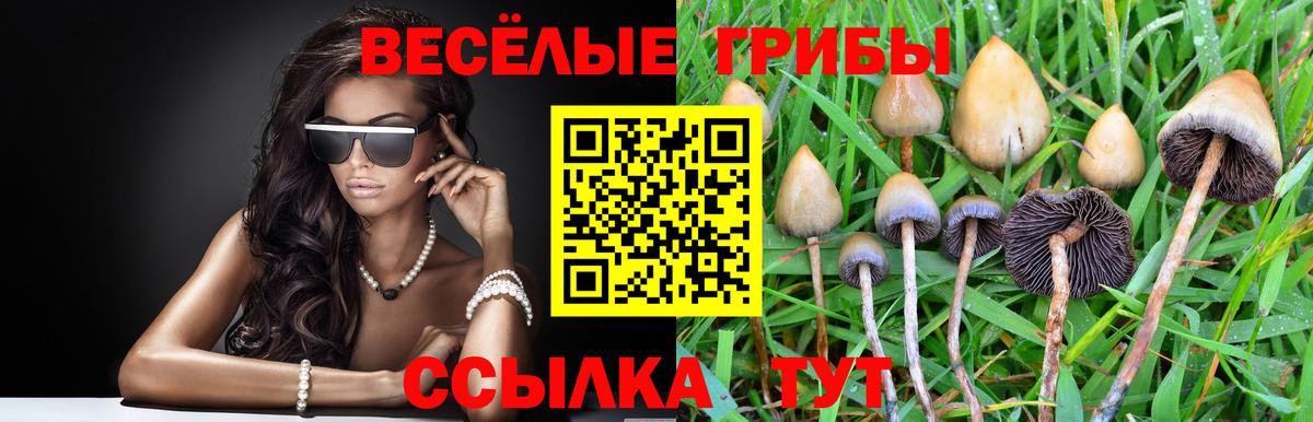 Галлюциногенные грибы ЛСД Менделеевск