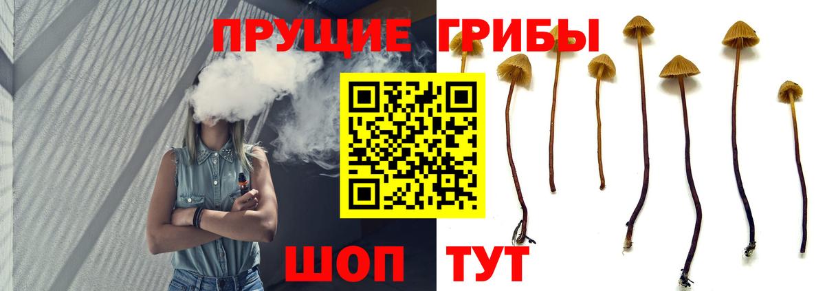 Менделеевск  Галлюциногенные грибы мухоморы  Вход с VPN 